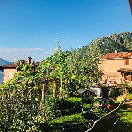 Agriturismo Botton D'Oro Dongo Exterior photo